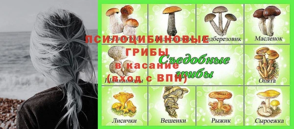 apvp Киренск