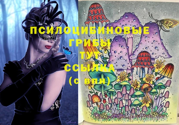 винт Кинешма